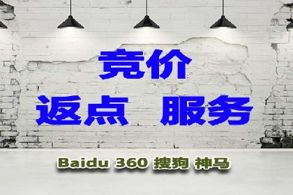百度SEO优化公司案例详解：如何制定有效的推广计划