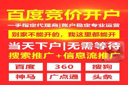 网络推广与竞价广告：双管齐下的策略案例