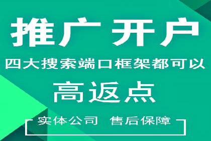 搜索引擎优化（SEO）与竞价广告（SEM）的对比案例